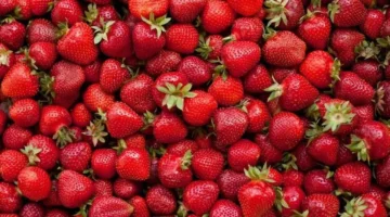 الخضراوات والفواكه الغنية بمضادات الأكسدة تعزز صحة العين وتحمي النظر 1